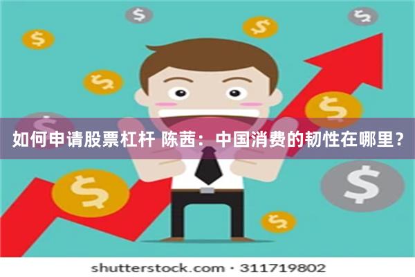 如何申请股票杠杆 陈茜：中国消费的韧性在哪里？