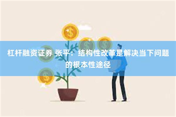 杠杆融资证券 张平：结构性改革是解决当下问题的根本性途径