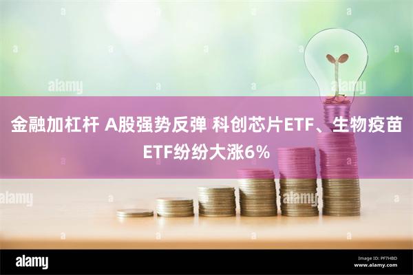 金融加杠杆 A股强势反弹 科创芯片ETF、生物疫苗ETF纷纷大涨6%