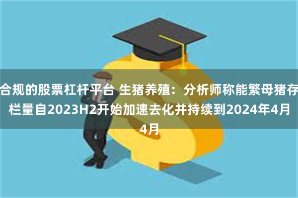 合规的股票杠杆平台 生猪养殖：分析师称能繁母猪存栏量自2023H2开始加速去化并持续到2024年4月