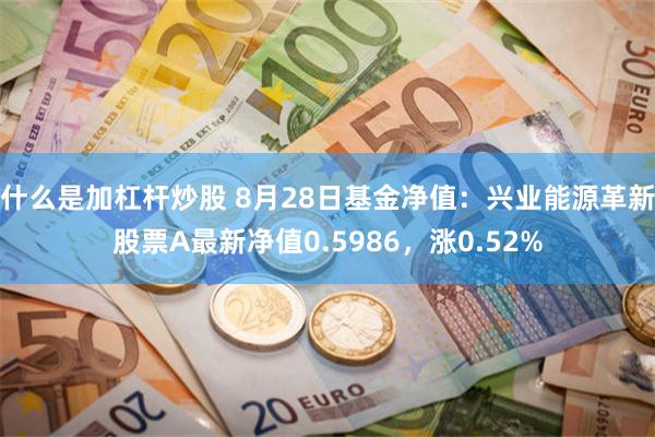 什么是加杠杆炒股 8月28日基金净值：兴业能源革新股票A最新净值0.5986，涨0.52%