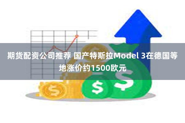 期货配资公司推荐 国产特斯拉Model 3在德国等地涨价约1500欧元