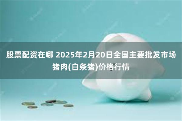 股票配资在哪 2025年2月20日全国主要批发市场猪肉(白条猪)价格行情