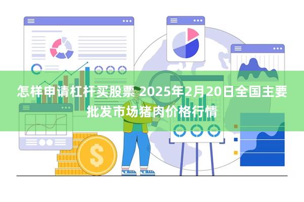 怎样申请杠杆买股票 2025年2月20日全国主要批发市场猪肉价格行情